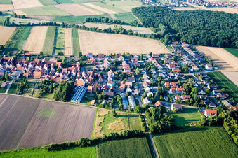 Vue aérienne de Du sud à Erlenbach bei Kandel dans le département Rhénanie-Palatinat, Allemagne