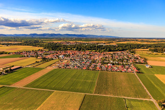 Vue aérienne de Du sud à Steinweiler dans le département Rhénanie-Palatinat, Allemagne