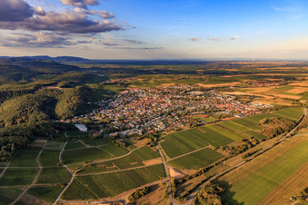 Vue aérienne de Vue de la ville depuis le sud à Bad Bergzabern dans le département Rhénanie-Palatinat, Allemagne