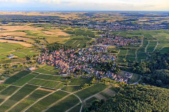 Vue aérienne de Village viticole au bord du Haardt vu du nord à le quartier Rechtenbach in Schweigen-Rechtenbach dans le département Rhénanie-Palatinat, Allemagne