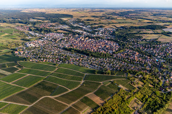 Wissembourg dans le département Bas Rhin, France vue d'en haut