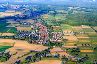 Vue aérienne de Vue du village depuis l'ouest, entre Viehstrich et Bienwald à Freckenfeld dans le département Rhénanie-Palatinat, Allemagne