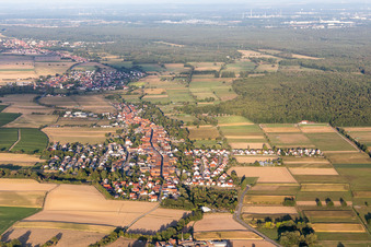 Vue aérienne de Freckenfeld dans le département Rhénanie-Palatinat, Allemagne