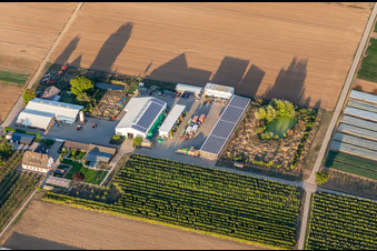 Photographie aérienne de Agriculteur biologique Bauers Garden à Winden dans le département Rhénanie-Palatinat, Allemagne