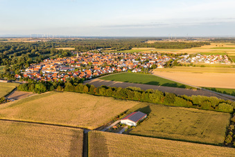Vue aérienne de Vue du village depuis l'ouest à Steinweiler dans le département Rhénanie-Palatinat, Allemagne