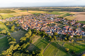 Vue aérienne de Vue d'ensemble du village depuis le nord-ouest à Steinweiler dans le département Rhénanie-Palatinat, Allemagne