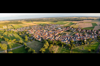 Vue aérienne de Panorama du village depuis le nord-ouest à Steinweiler dans le département Rhénanie-Palatinat, Allemagne
