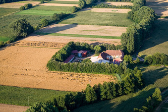 Vue aérienne de À Erlenbach, Leistenmühle à Kandel dans le département Rhénanie-Palatinat, Allemagne