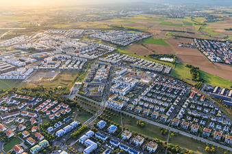 Vue aérienne de IGS Kalbach-Riedberg à le quartier Kalbach-Riedberg in Frankfurt am Main dans le département Hesse, Allemagne