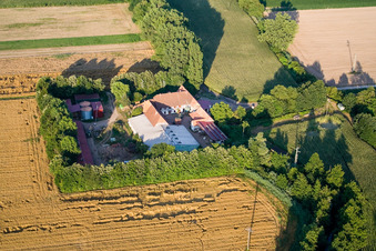 Photographie aérienne de À Erlenbach, Leistenmühle à Kandel dans le département Rhénanie-Palatinat, Allemagne