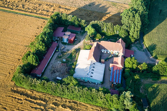 Vue oblique de À Erlenbach, Leistenmühle à Kandel dans le département Rhénanie-Palatinat, Allemagne