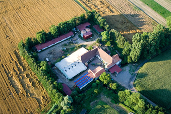 À Erlenbach, Leistenmühle à Kandel dans le département Rhénanie-Palatinat, Allemagne hors des airs