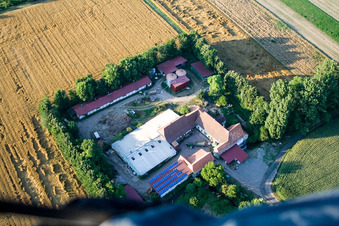 À Erlenbach, Leistenmühle à Kandel dans le département Rhénanie-Palatinat, Allemagne vue d'en haut