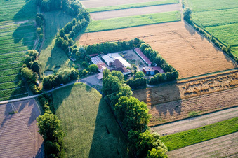 À Erlenbach, Leistenmühle à Kandel dans le département Rhénanie-Palatinat, Allemagne depuis l'avion
