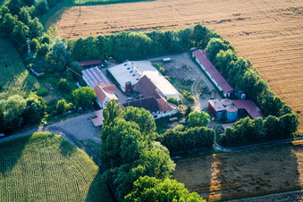 Vue d'oiseau de À Erlenbach, Leistenmühle à Kandel dans le département Rhénanie-Palatinat, Allemagne
