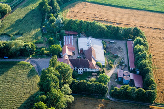À Erlenbach, Leistenmühle à Kandel dans le département Rhénanie-Palatinat, Allemagne vue du ciel