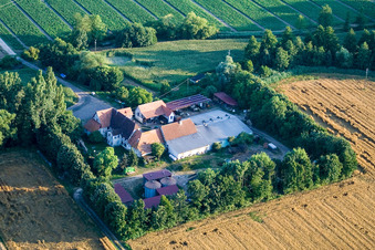 Image drone de À Erlenbach, Leistenmühle à Kandel dans le département Rhénanie-Palatinat, Allemagne