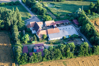 À Erlenbach, Leistenmühle à Kandel dans le département Rhénanie-Palatinat, Allemagne d'un drone