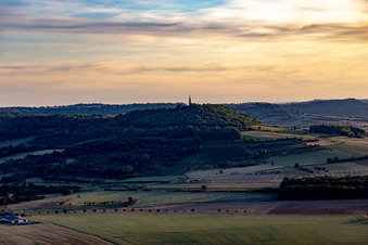 Vue aérienne de Basilique de Sion à Saxon-Sion dans le département Meurthe et Moselle, France
