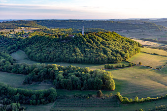 Vue oblique de Basilique de Sion à Saxon-Sion dans le département Meurthe et Moselle, France
