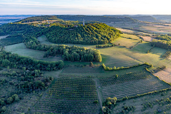 Vue aérienne de Bâtiment de l'église Basilique Notre-Dame de Sion sur la colline de pèlerinage du Site de la Colline de Sion-Vaudémont à Saxon-Sion dans le département Meurthe et Moselle, France