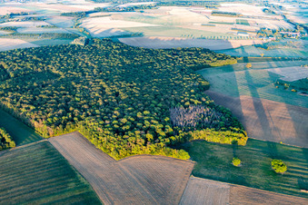 Vue aérienne de Forêts à Chaouilley dans le département Meurthe et Moselle, France
