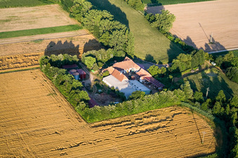 Vue aérienne de À Erlenbach, Leistenmühle à Kandel dans le département Rhénanie-Palatinat, Allemagne