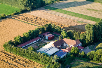 Photographie aérienne de À Erlenbach, Leistenmühle à Kandel dans le département Rhénanie-Palatinat, Allemagne