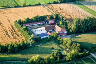 Vue oblique de À Erlenbach, Leistenmühle à Kandel dans le département Rhénanie-Palatinat, Allemagne