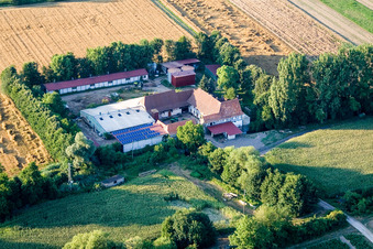 À Erlenbach, Leistenmühle à Kandel dans le département Rhénanie-Palatinat, Allemagne d'en haut