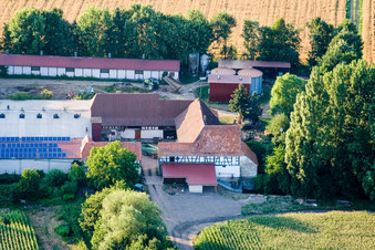 À Erlenbach, Leistenmühle à Kandel dans le département Rhénanie-Palatinat, Allemagne depuis l'avion
