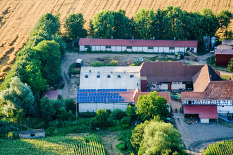 Vue d'oiseau de À Erlenbach, Leistenmühle à Kandel dans le département Rhénanie-Palatinat, Allemagne