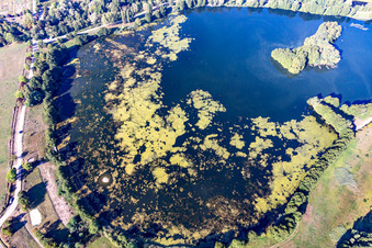 Vue aérienne de Zones riveraines du lac de l'Étang du Breuil en zone boisée à Flavigny-sur-Moselle dans le département Meurthe et Moselle, France