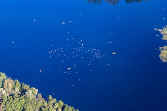 Vue aérienne de Lac Breuil à Flavigny-sur-Moselle dans le département Meurthe et Moselle, France