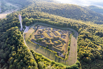 Vue aérienne de Fragments de la fortification de la citadelle "Fort de Bourlémont" sur l'Allée de Rivières à Mont-les-Neufchateau à Mont-lès-Neufchâteau dans le département Vosges, France