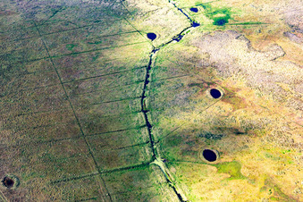 Vue aérienne de Drainage des landes de l'île de Fanø, en mer du Nord à Fanø dans le département Syddanmark, Danemark