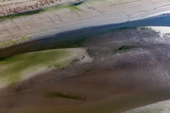 Vue oblique de Côte ouest à marée basse à Fanø dans le département Syddanmark, Danemark