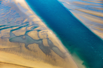 Vue oblique de Lions de mer et phoques communs dans la crique de marée jusqu'au banc de sable Peter Meyers à Fanø dans le département Syddanmark, Danemark