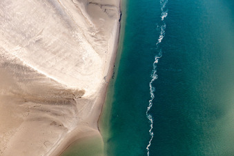 Photographie aérienne de Lions de mer et phoques communs dans la crique de marée du banc de sable Peter Meyers au sud de l'île de Fanø, en mer du Nord à Fanø dans le département Syddanmark, Danemark