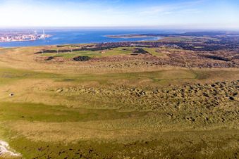 Vue oblique de Parc national de la mer des Wadden à Fanø dans le département Syddanmark, Danemark