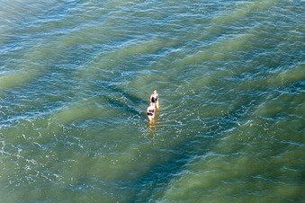 Image drone de Plage de Fanoe Bath à Fanø dans le département Syddanmark, Danemark