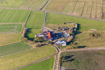 Vue d'oiseau de Fanø dans le département Syddanmark, Danemark