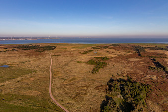 Vue d'oiseau de Parc national de la mer des Wadden à Fanø dans le département Syddanmark, Danemark