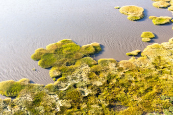 Parc national de la mer des Wadden à Fanø dans le département Syddanmark, Danemark du point de vue du drone