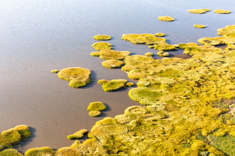 Parc national de la mer des Wadden à Fanø dans le département Syddanmark, Danemark d'un drone