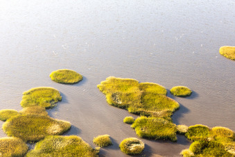 Photographie aérienne de Parc national de la mer des Wadden à Fanø dans le département Syddanmark, Danemark