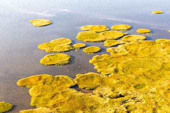Vue oblique de Parc national de la mer des Wadden à Fanø dans le département Syddanmark, Danemark