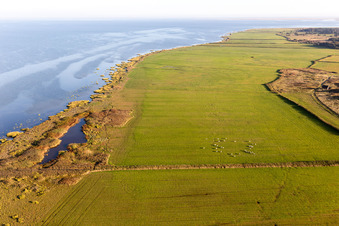 Parc national de la mer des Wadden à Fanø dans le département Syddanmark, Danemark depuis l'avion