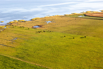 Parc national de la mer des Wadden à Fanø dans le département Syddanmark, Danemark vue du ciel