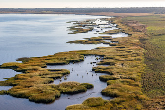 Vue aérienne de Côte à marée haute dans le parc national de la mer des Wadden sur la mer du Nord à Fanø à Fanø dans le département Syddanmark, Danemark